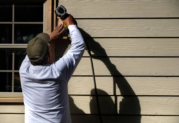 Affordable Siding Repair and Maintenance Services in Brighton, TN