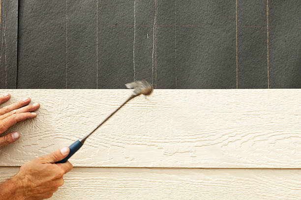 Best Vinyl Siding Installation  in Brighton, TN